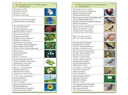Комплект карточек (10) "Обучающий калейдоскоп. Природа" - fgospostavki.ru - Муравленко