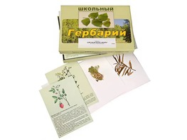 Гербарий "Для начальной школы" (30 видов, с иллюстрациями) - fgospostavki.ru - Муравленко