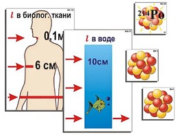 Модель-аппликация "Явление радиоактивности" (ламинированная) - fgospostavki.ru - Муравленко