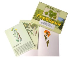 Гербарий "Систематика растений. Семейство Пасленовые. Крестоцветные. Сложноцветные" (раздаточный) - fgospostavki.ru - Муравленко