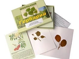 Гербарий "Систематика растений. Семейство Розоцветные" (раздаточный) - fgospostavki.ru - Муравленко