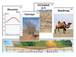 Модель-аппликация "Природные зоны" - fgospostavki.ru - Муравленко