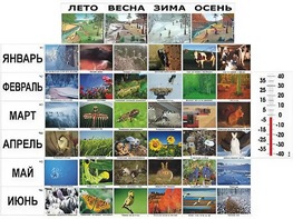 Фенологические наблюдения - fgospostavki.ru - Муравленко