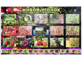 Комплект оборудования "Живой уголок" (растения) с тифлопереводом и сурдокомментариями - fgospostavki.ru - Муравленко