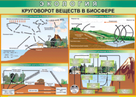 Таблица "Круговорот веществ в биосфере" (100х140 сантиметров, винил) - fgospostavki.ru - Муравленко