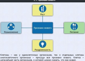 Интерактивные курсы. Биология 5 класс. Базовый - fgospostavki.ru - Муравленко