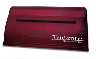 Принтер для печати рельефно-точечным шрифтом Брайля Trident - fgospostavki.ru - Муравленко