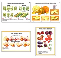 Плакаты ПРОФТЕХ "Ассортимент овощных культур" (12 пл, винил, 70х100) - fgospostavki.ru - Муравленко