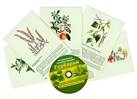 Интерактивный наглядный комплекс "Гербарий "Для начальной школы" - fgospostavki.ru - Муравленко