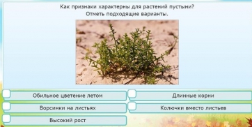Интерактивные курсы. Окружающий мир 3 класс . Базовый. - fgospostavki.ru - Муравленко