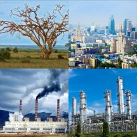 Модель-аппликация Биосфера и человек - fgospostavki.ru - Муравленко