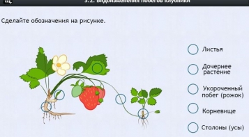 Интерактивные курсы. Биология 7 класс. Расширенный. - fgospostavki.ru - Муравленко
