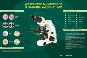 Электрифицированный стенд "Устройство микроскопа и правила работы c ним" - fgospostavki.ru - Муравленко