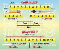 Стенд "Сантиметр" - fgospostavki.ru - Муравленко