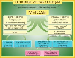 Стенд "Методы селекции и биотехнологии" - fgospostavki.ru - Муравленко