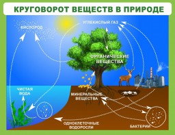 Стенд "Круговорот веществ" - fgospostavki.ru - Муравленко