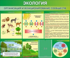 Стенд "Экология. Организация и функционирование сообществ" - fgospostavki.ru - Муравленко