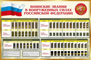 Стенд "Воинские звания в вооруженных силах РФ" - fgospostavki.ru - Муравленко
