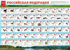 Стенд "Красная книга РФ" - fgospostavki.ru - Муравленко