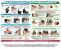 Комплект плакатов "Оказание первой доврачебной медицинской помощи" - fgospostavki.ru - Муравленко