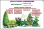 Комплект кодотранспарантов "Культурные растения" - fgospostavki.ru - Муравленко