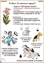 Комплект кодотранспарантов "Ядовитые растения" - fgospostavki.ru - Муравленко